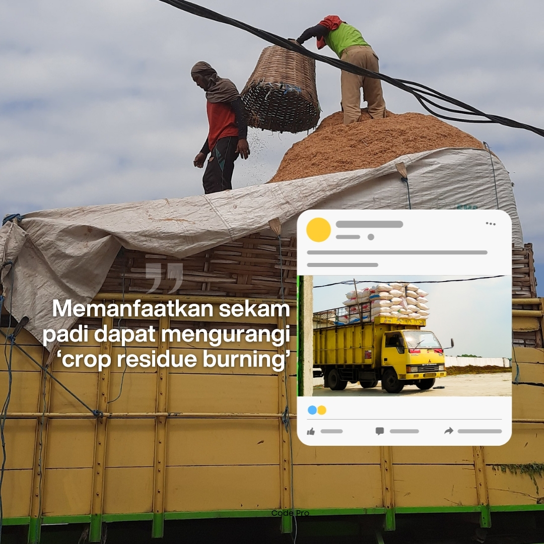 Sekam